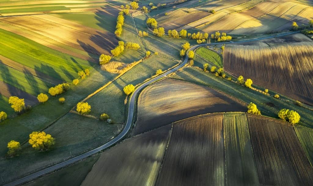 Fototapeta Zachód Słońca nad Polami