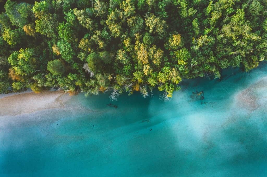 Fototapeta Błękitna Plaża