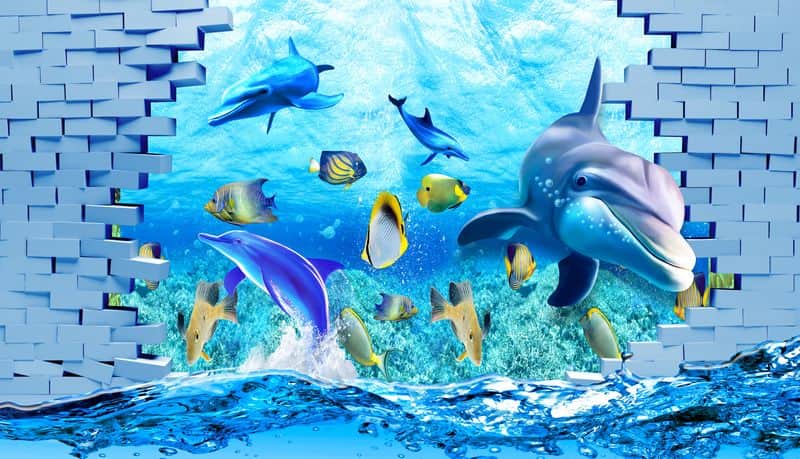 Fototapeta Głębia Oceanu