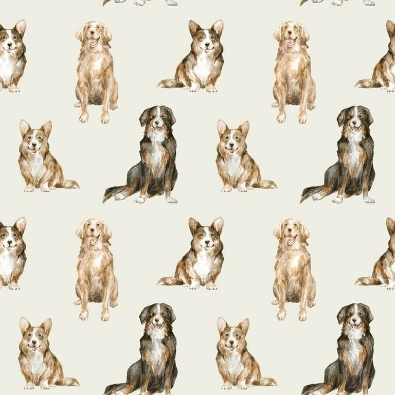 Fototapeta Psy