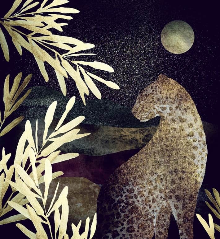 Fototapeta Nocny Gepard