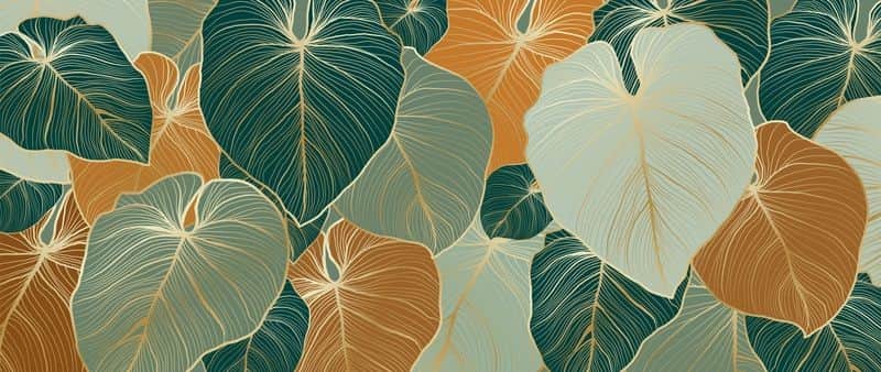Fototapeta Liście Botaniczne