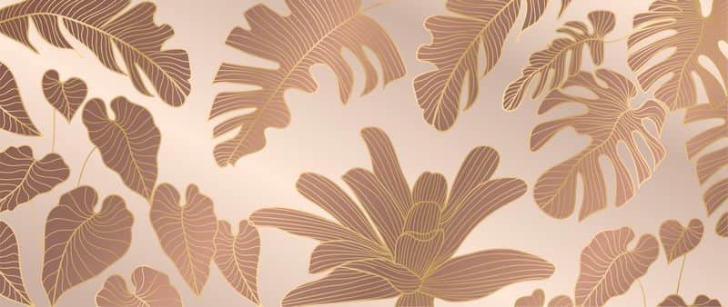 Fototapeta Liście Botaniczne