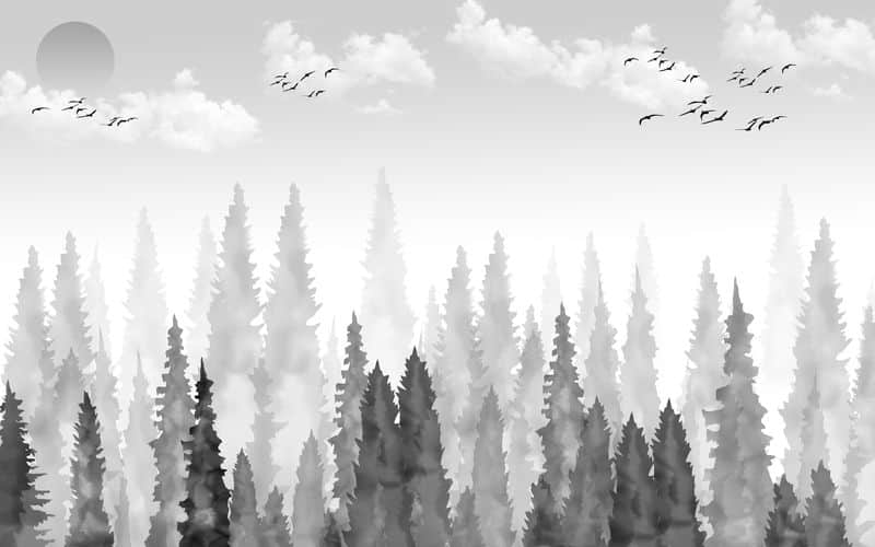 Fototapeta Szary Las