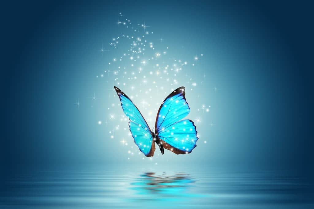 Fototapeta Magiczny Motyl