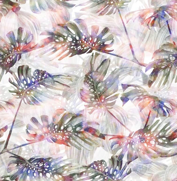 Fototapeta Tęczowe Liście Monstera