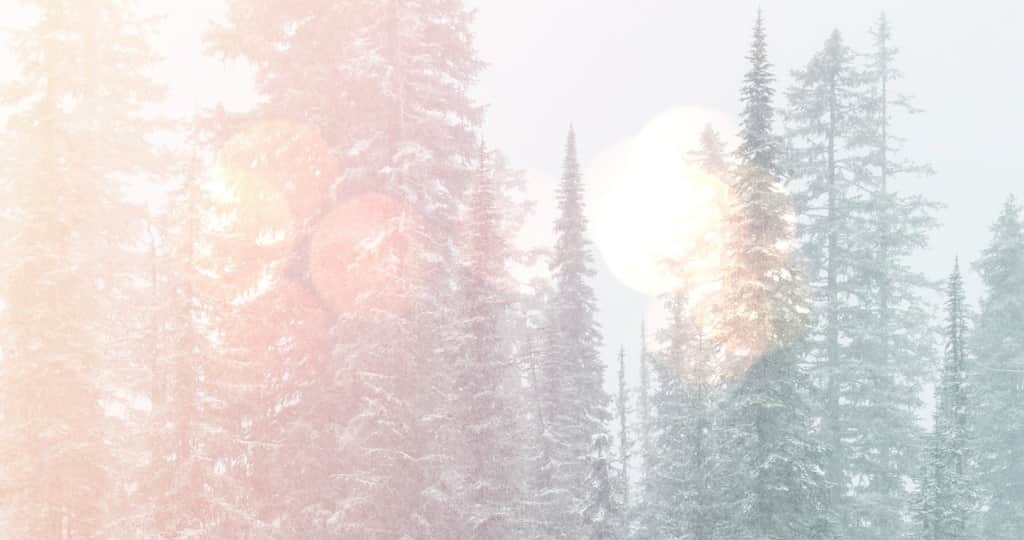 Fototapeta Jasne Światło