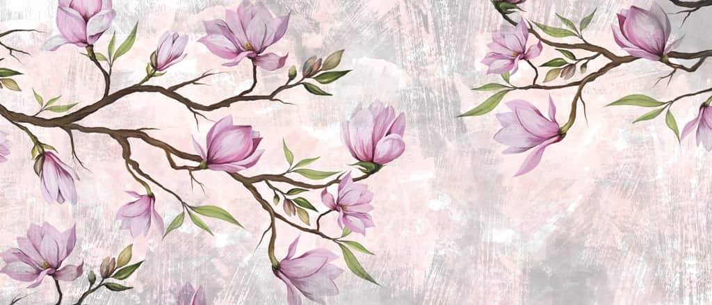 Fototapeta Kwitnąca Magnolia