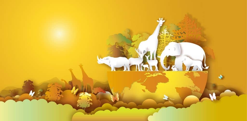 Fototapeta Arka Noego