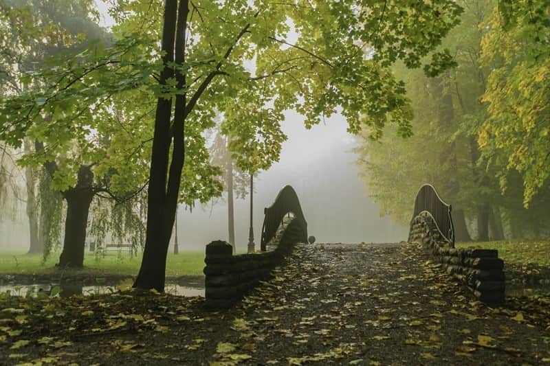 Fototapeta Romantyczny Most