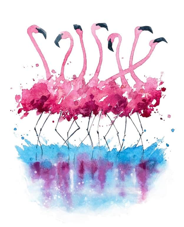 Fototapeta Taniec Flamingów