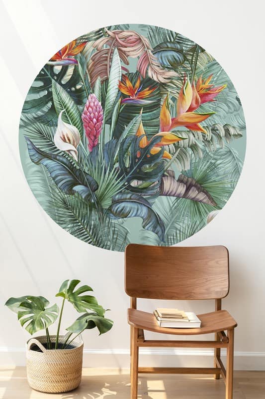 Classic wooden chair by a monstera plant