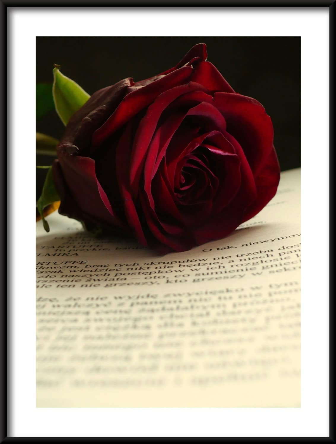 25950867_PION