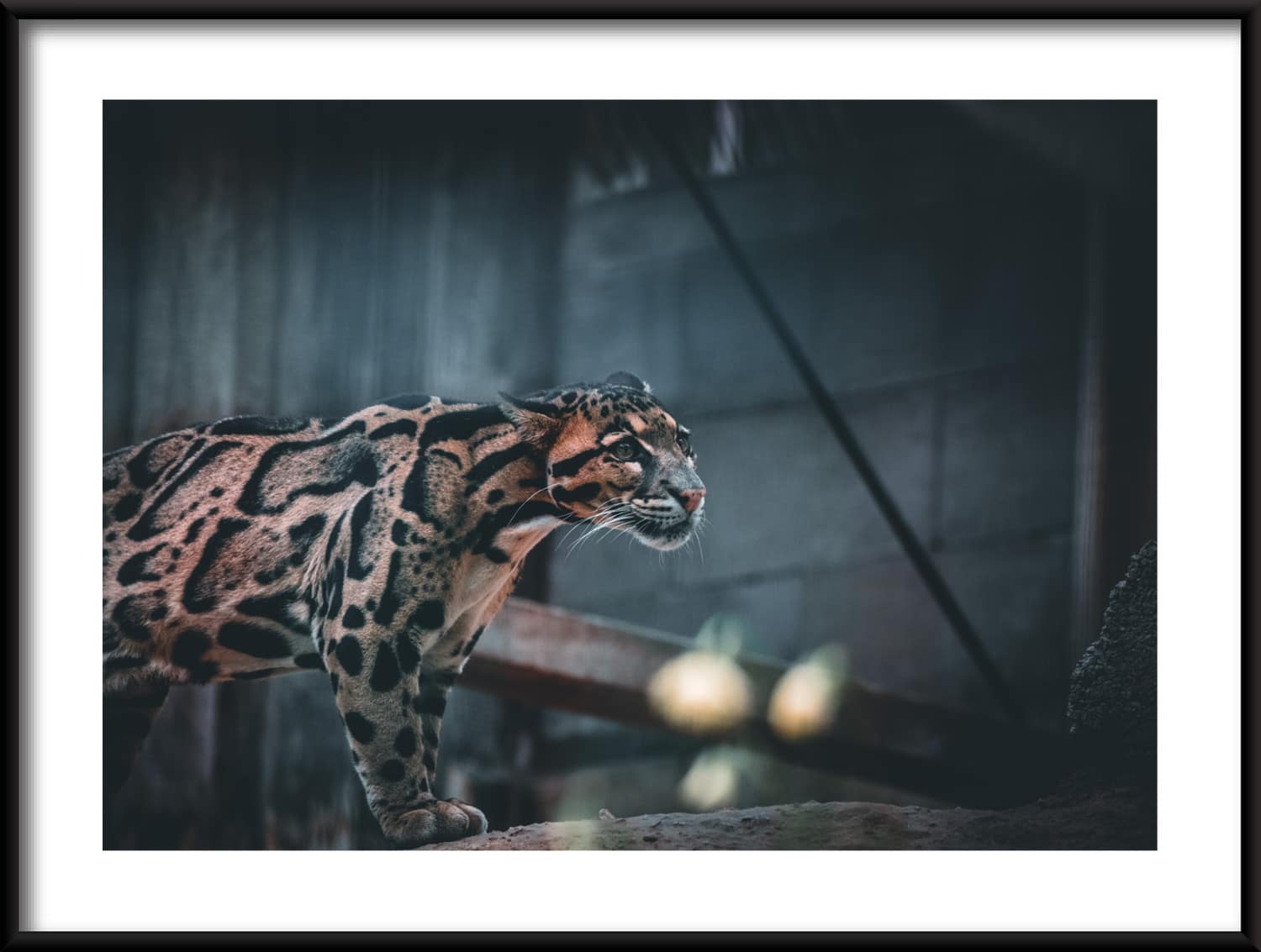 280921983_POZIOM