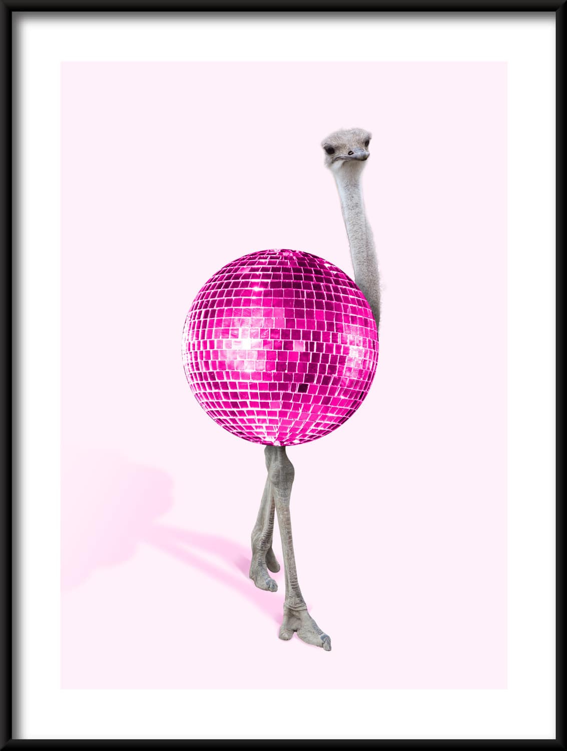 284144084_PION-1