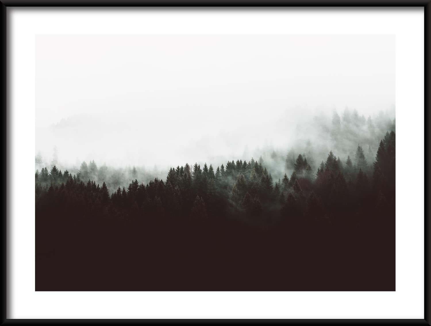311094314_POZIOM-1