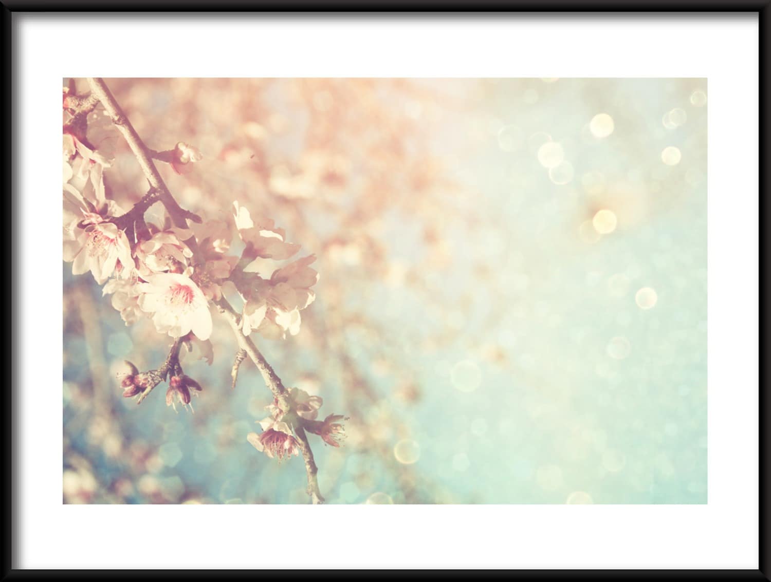 Adobe-103250483-POZIOM