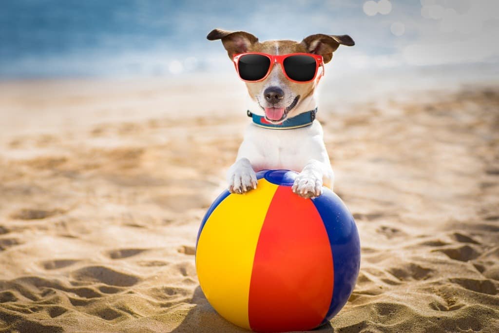 AdobeStock_150336491