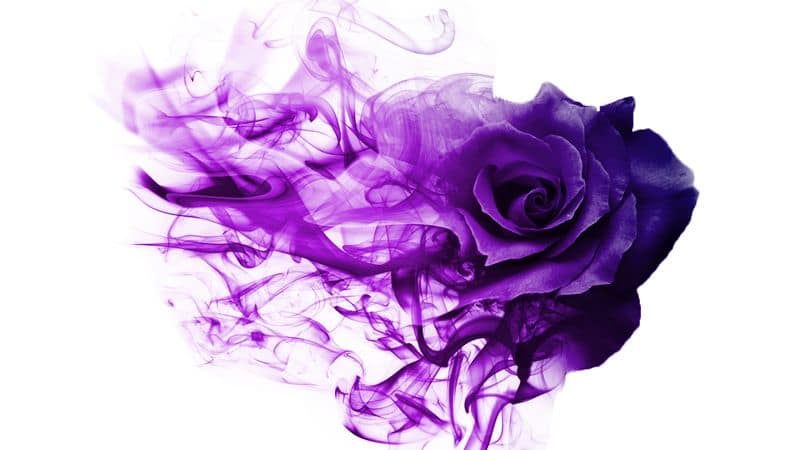 AdobeStock_209892810