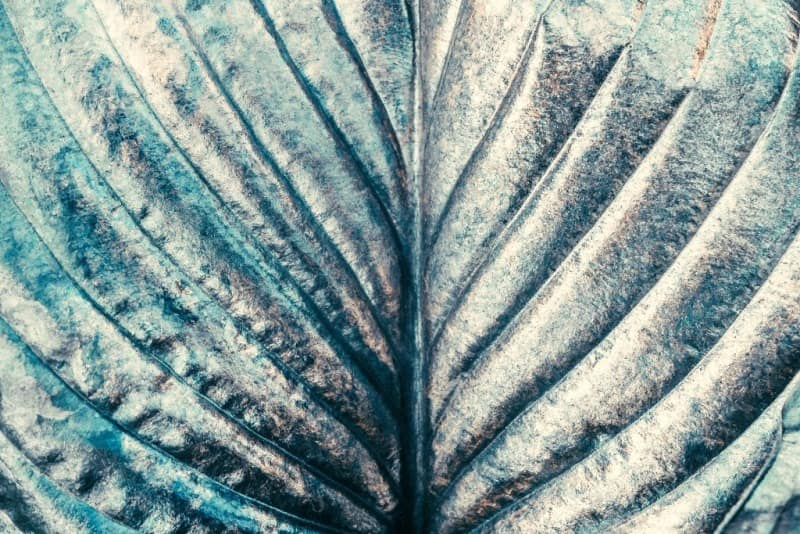AdobeStock_221080291