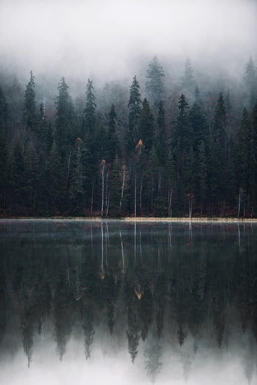 AdobeStock_238576075-Kopiowanie