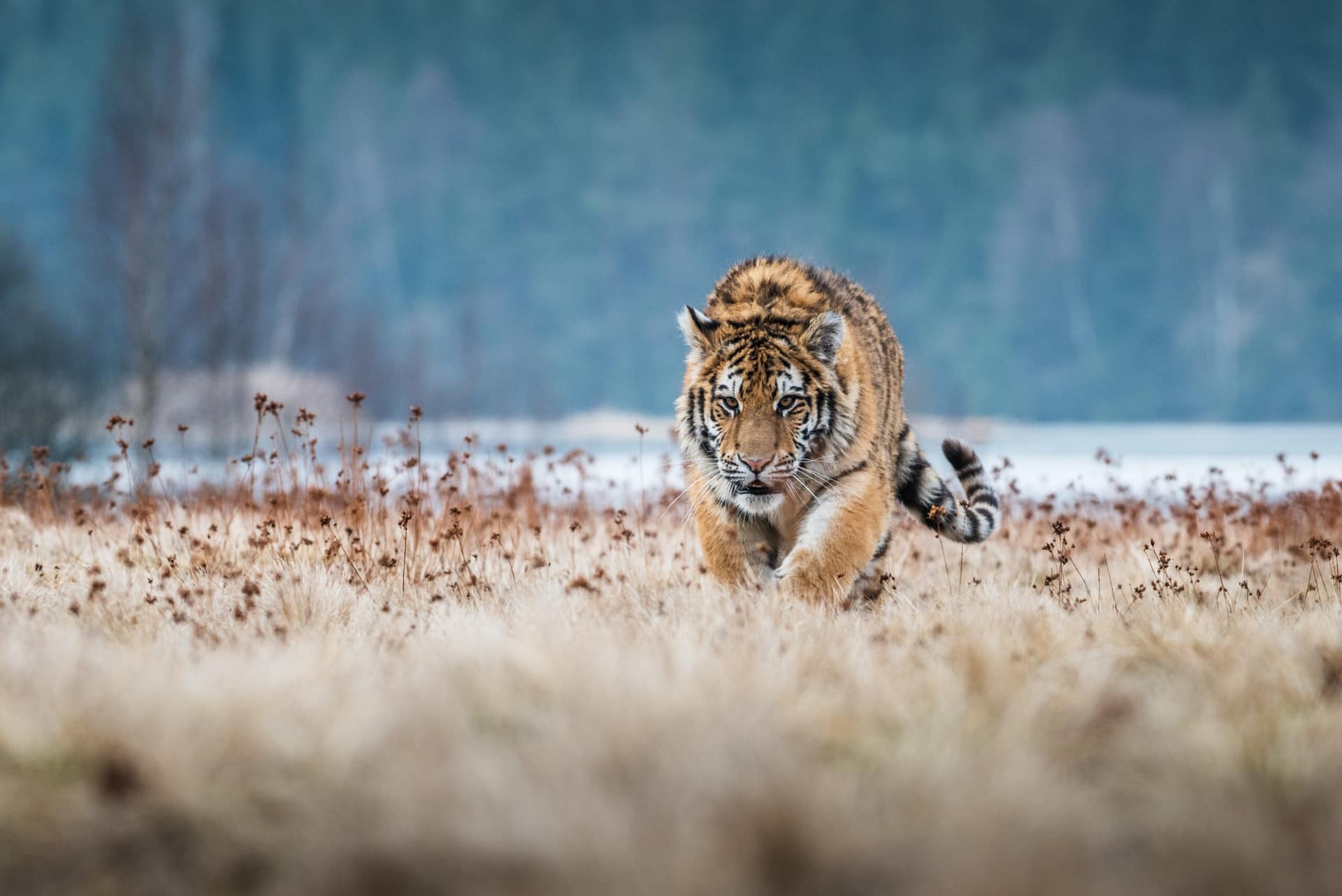 AdobeStock_244328934-1-scaled