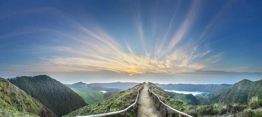 AdobeStock_259764079