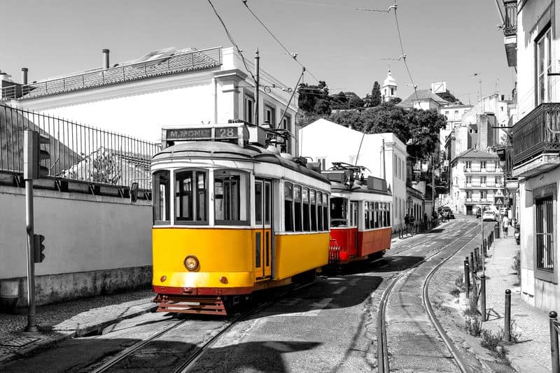 AdobeStock_259899630