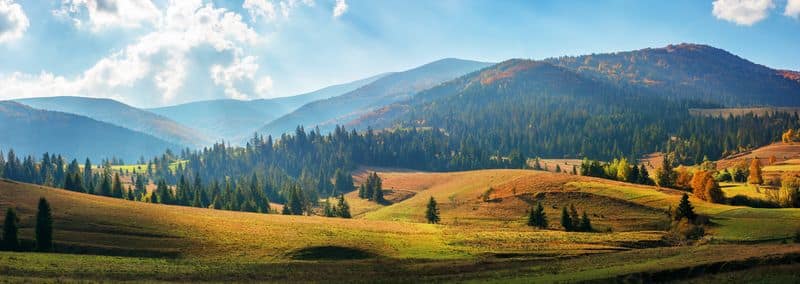 AdobeStock_301581494