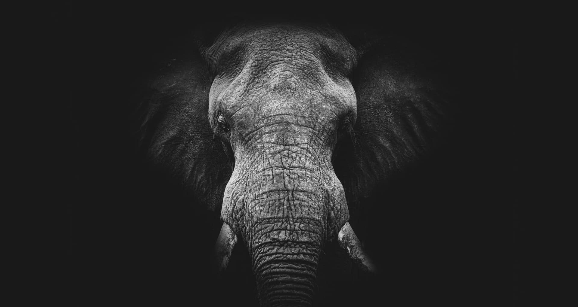 AdobeStock_324630924-1-scaled