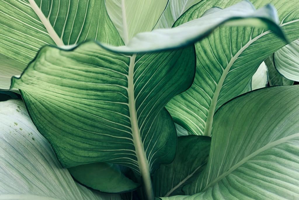 AdobeStock_326485640-Kopiowanie