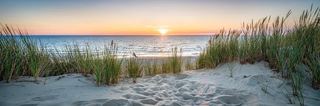 AdobeStock_334601951