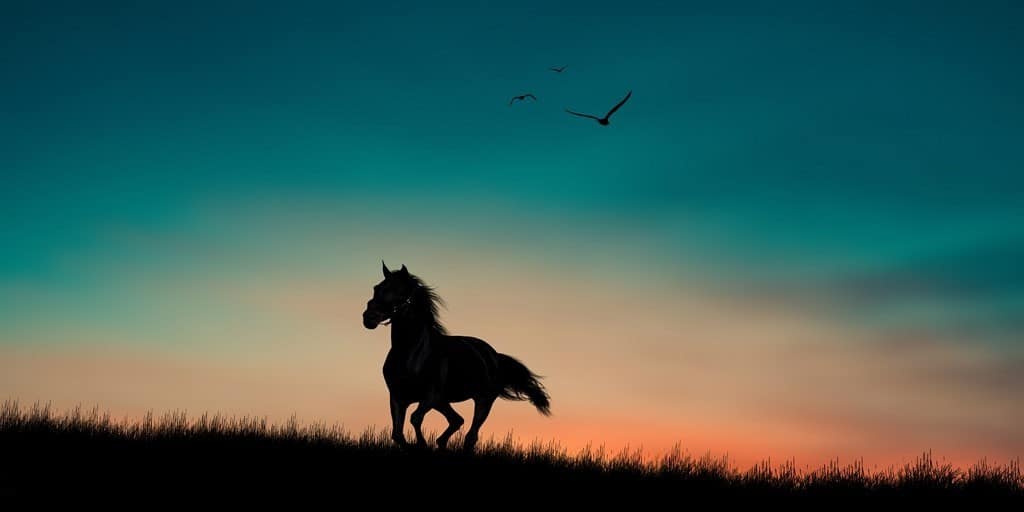 AdobeStock_383939069