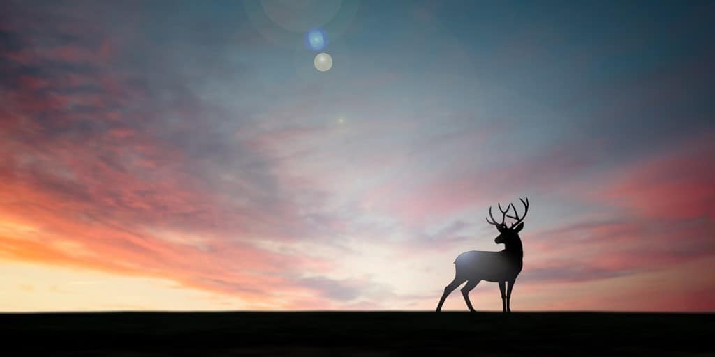 AdobeStock_384448779