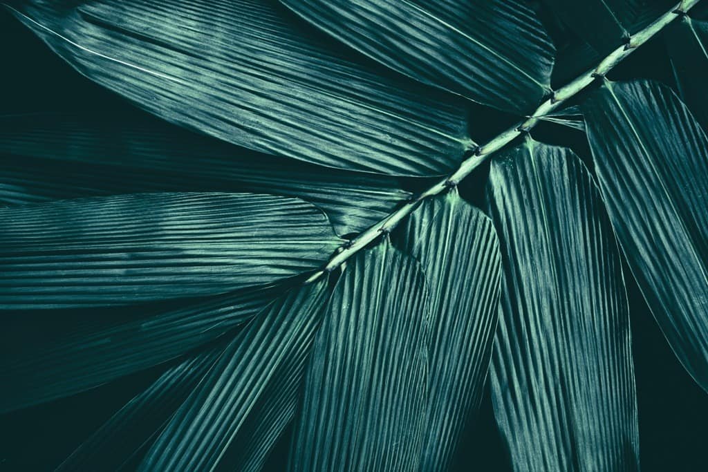 AdobeStock_412062625