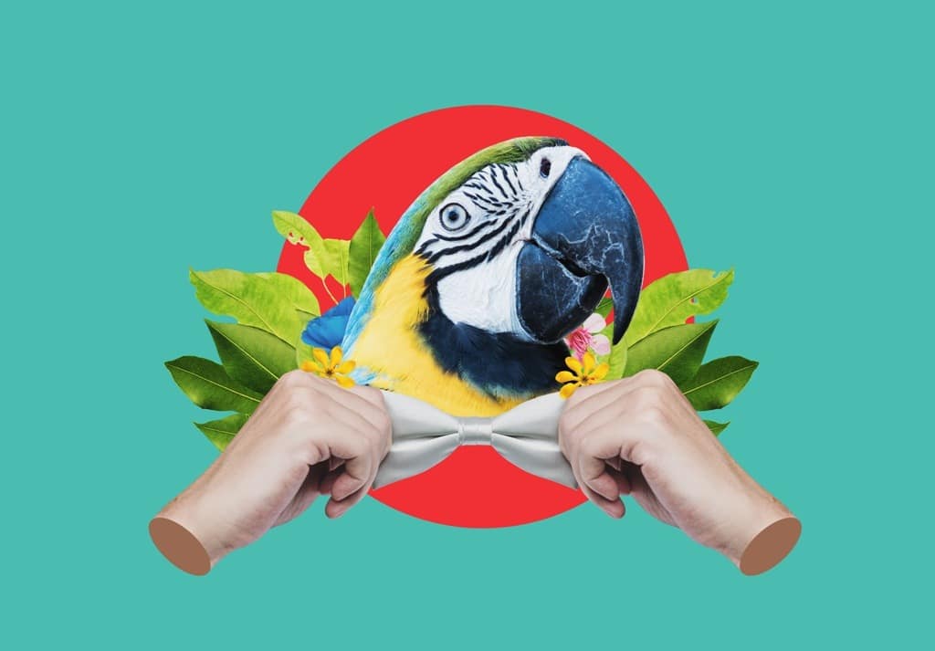 AdobeStock_425213779