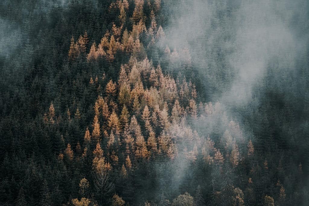 AdobeStock_428927218-1-Kopiowanie