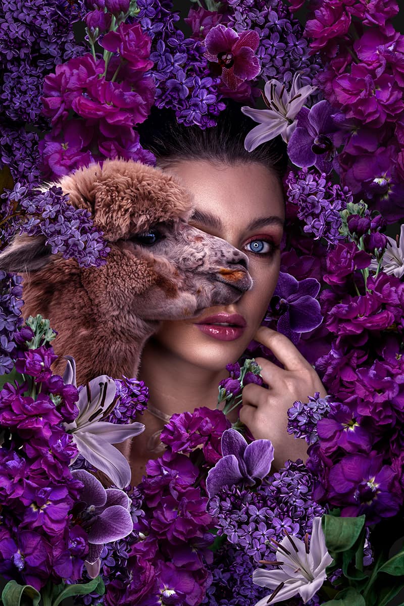 Beautiful woman with alpaca in flowers