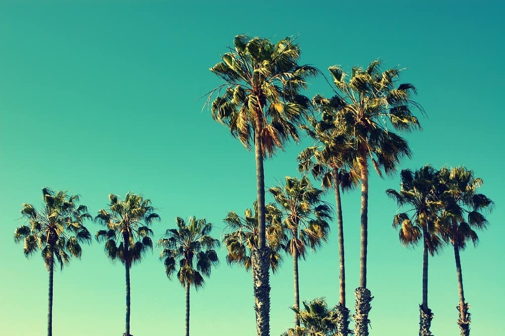 AdobeStock_89046504-1-Kopiowanie