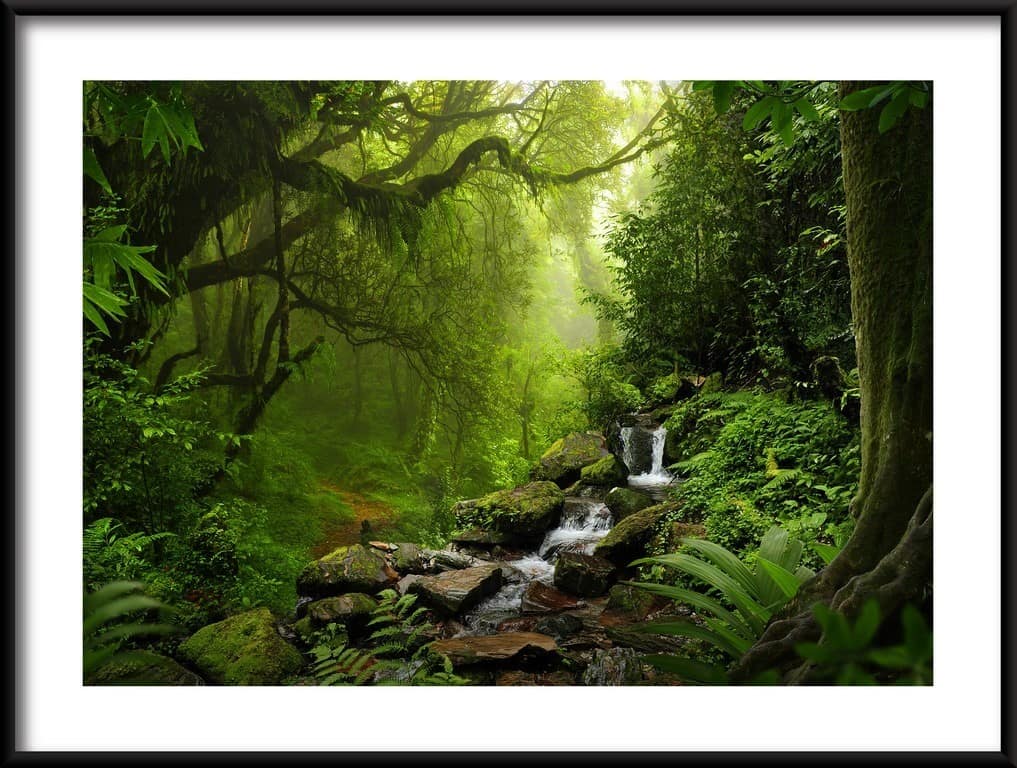 poziom_ramka_1298886499