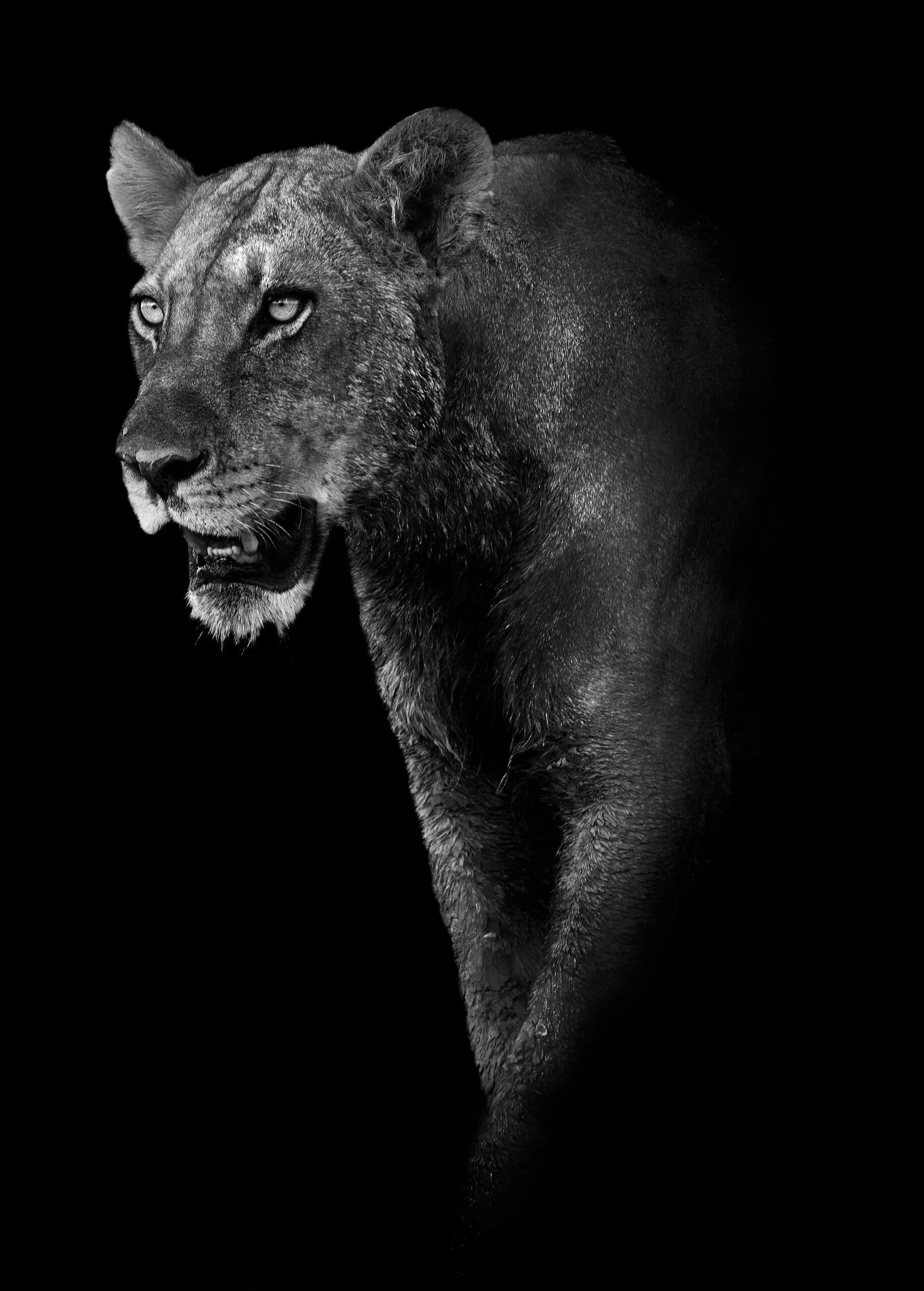 shutterstock_141294517-scaled
