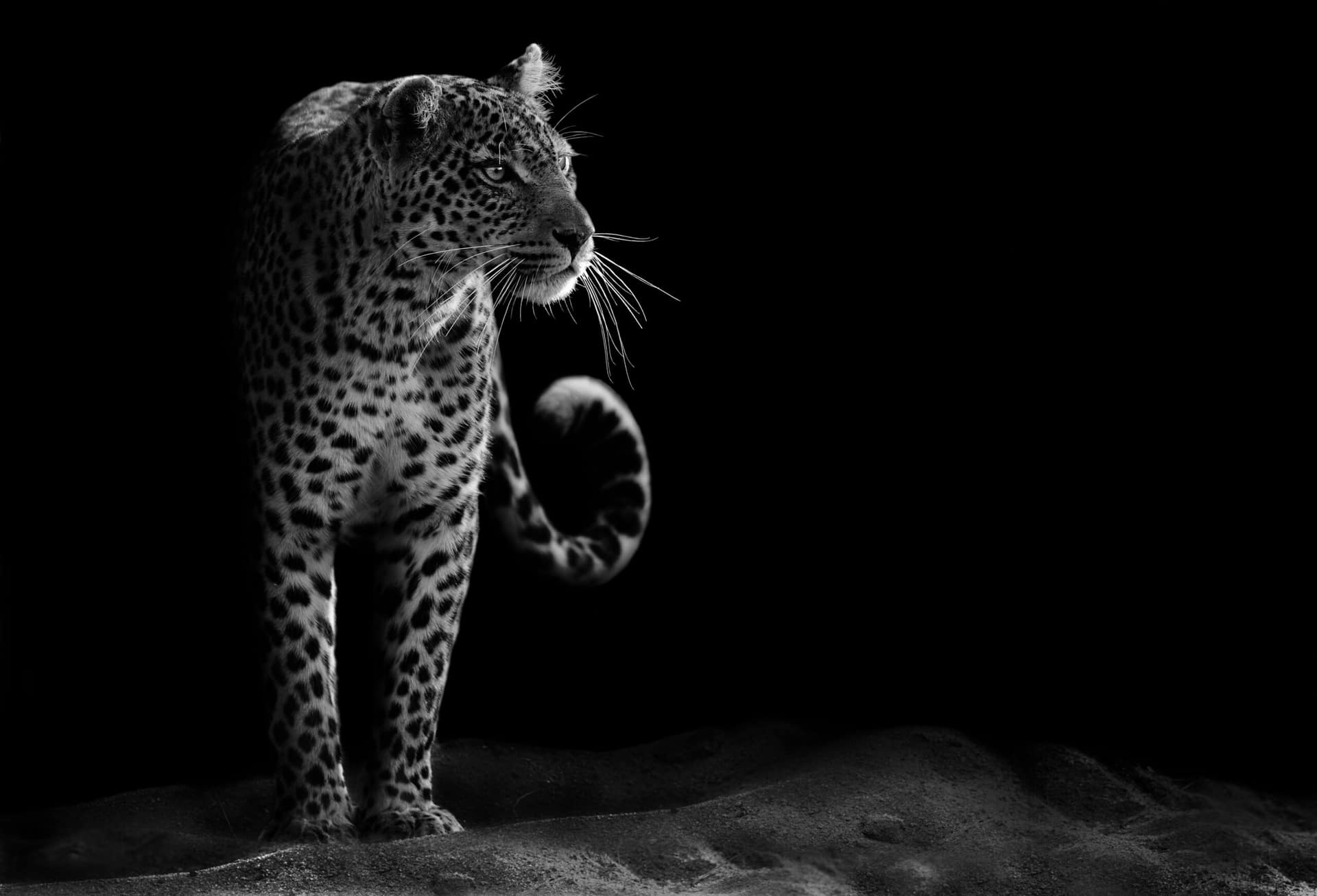 shutterstock_145847159-scaled