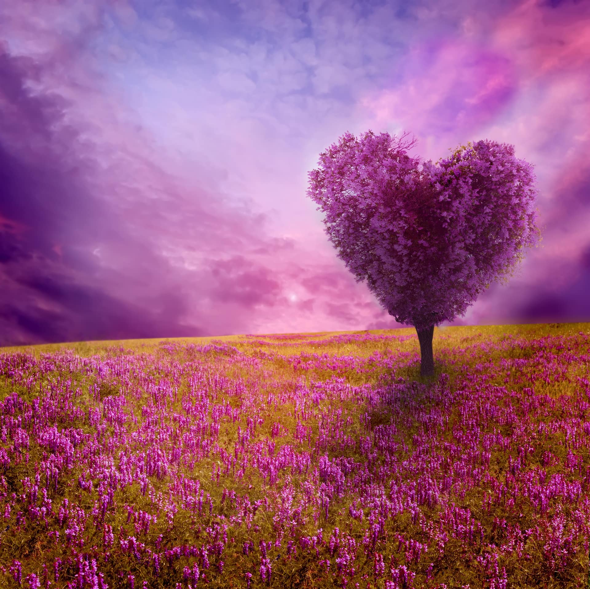 shutterstock_172236215