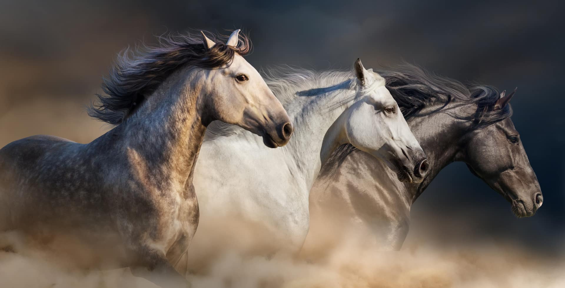 shutterstock_398658040-scaled