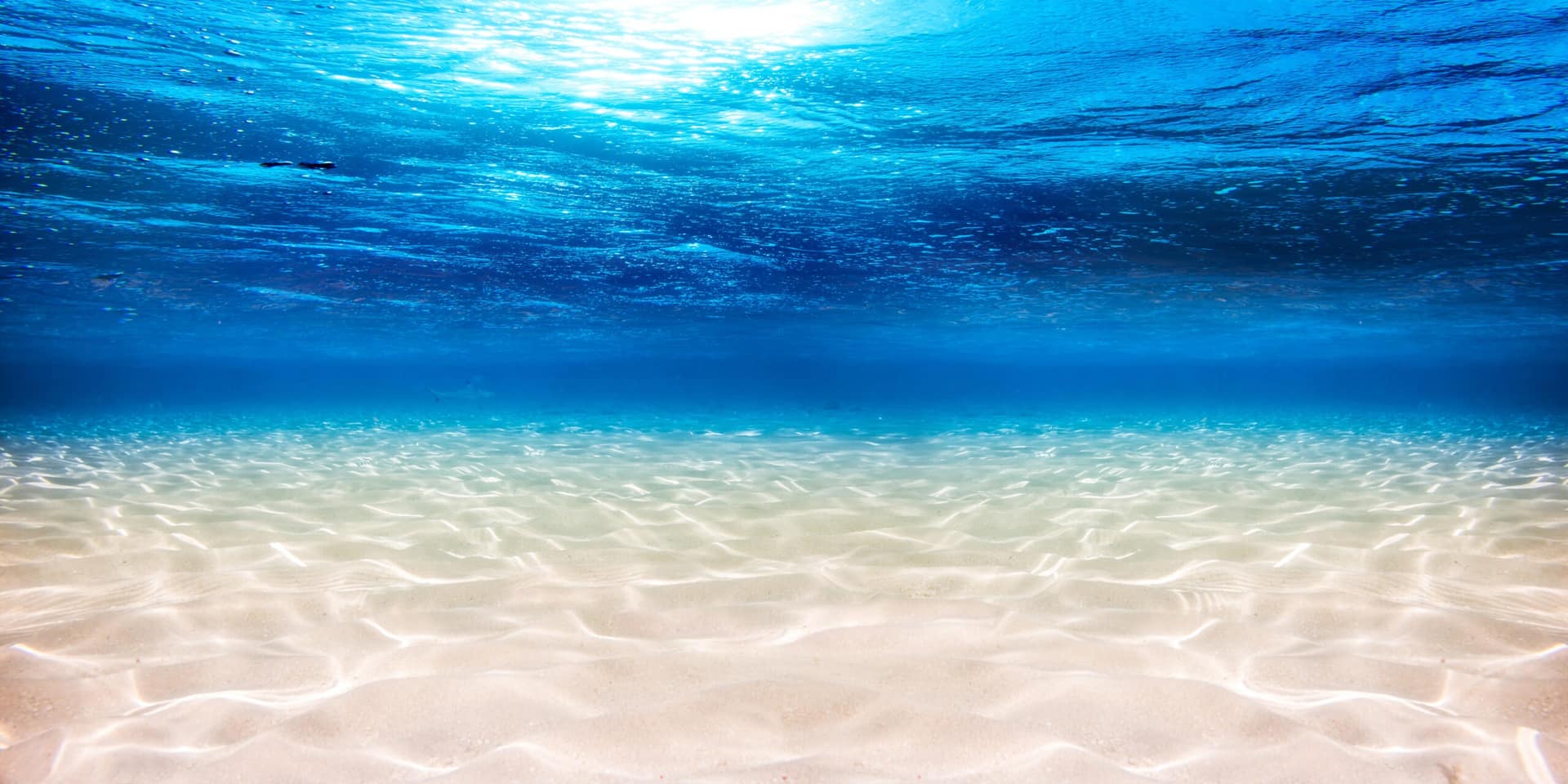 shutterstock_580489498-scaled