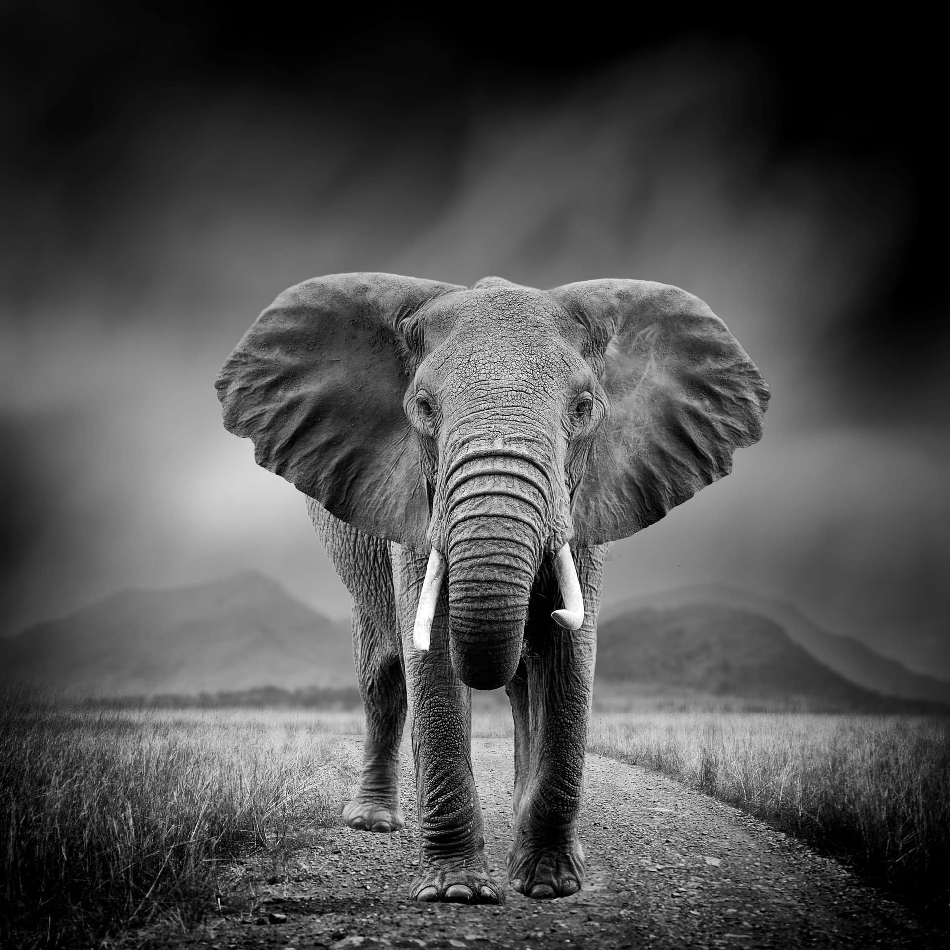 shutterstock_626740415-scaled