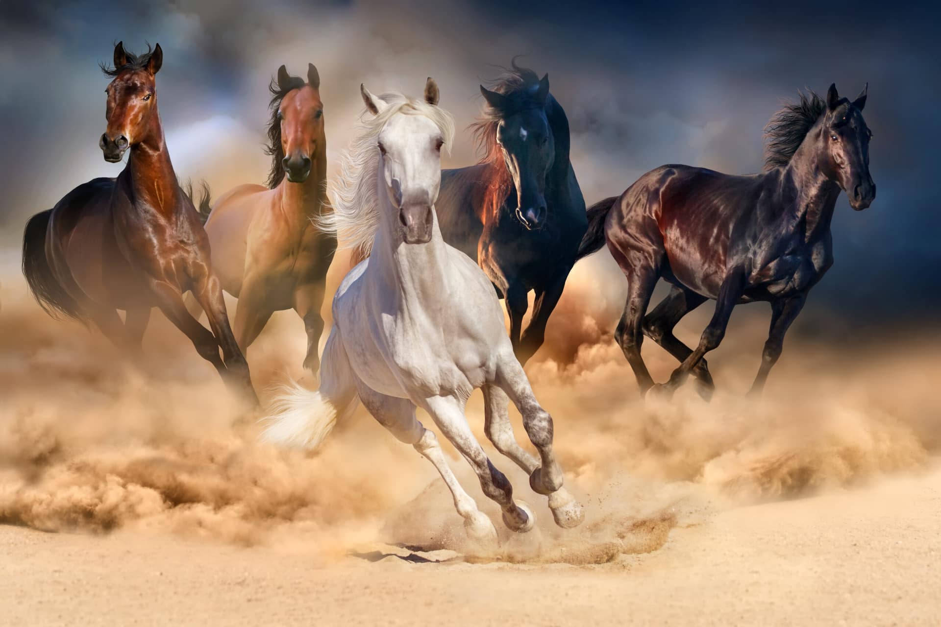 shutterstock_323504294-scaled