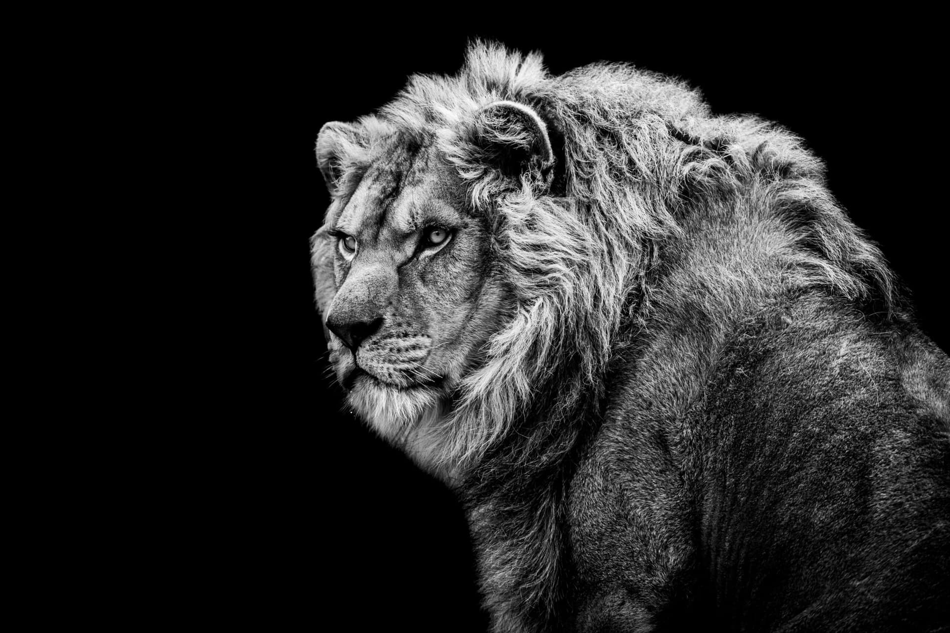 AdobeStock_343853846-1-scaled