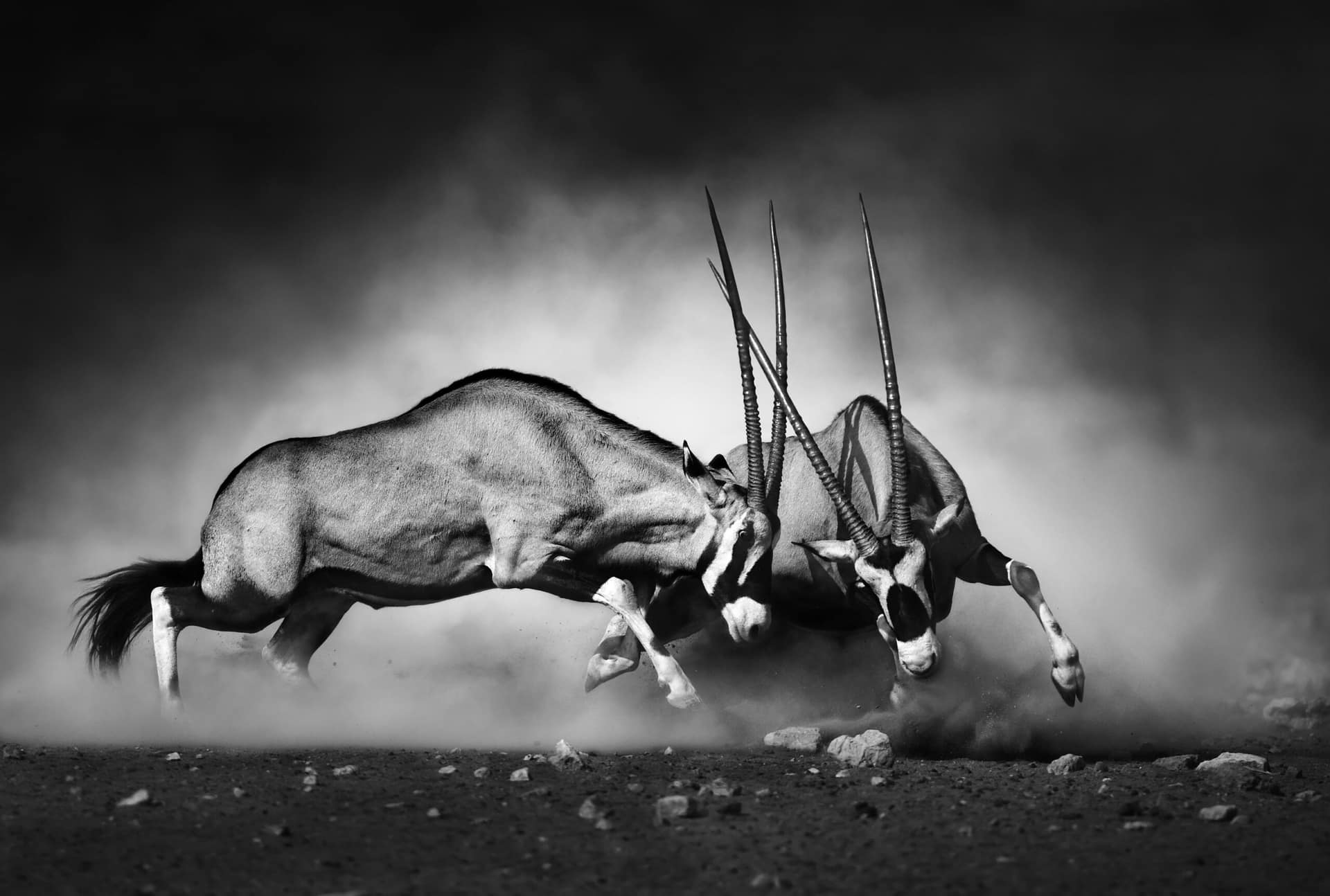 AdobeStock_71412657-1-scaled