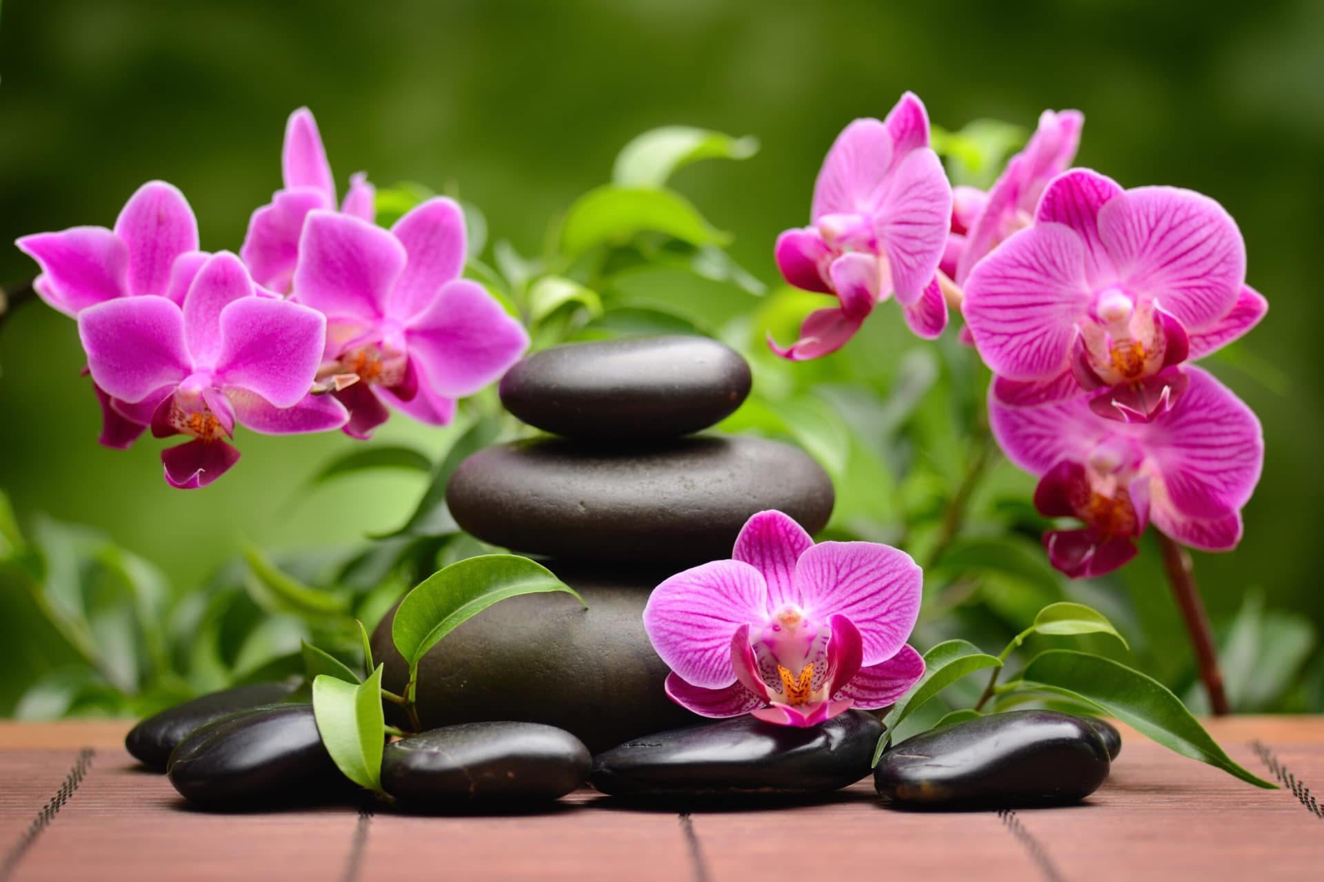 shutterstock_100679161-scaled